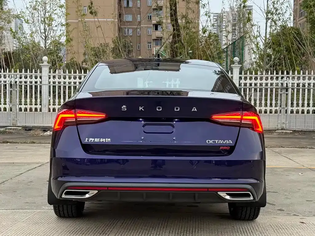 Skoda Octavia 2021 из CN, фото 5