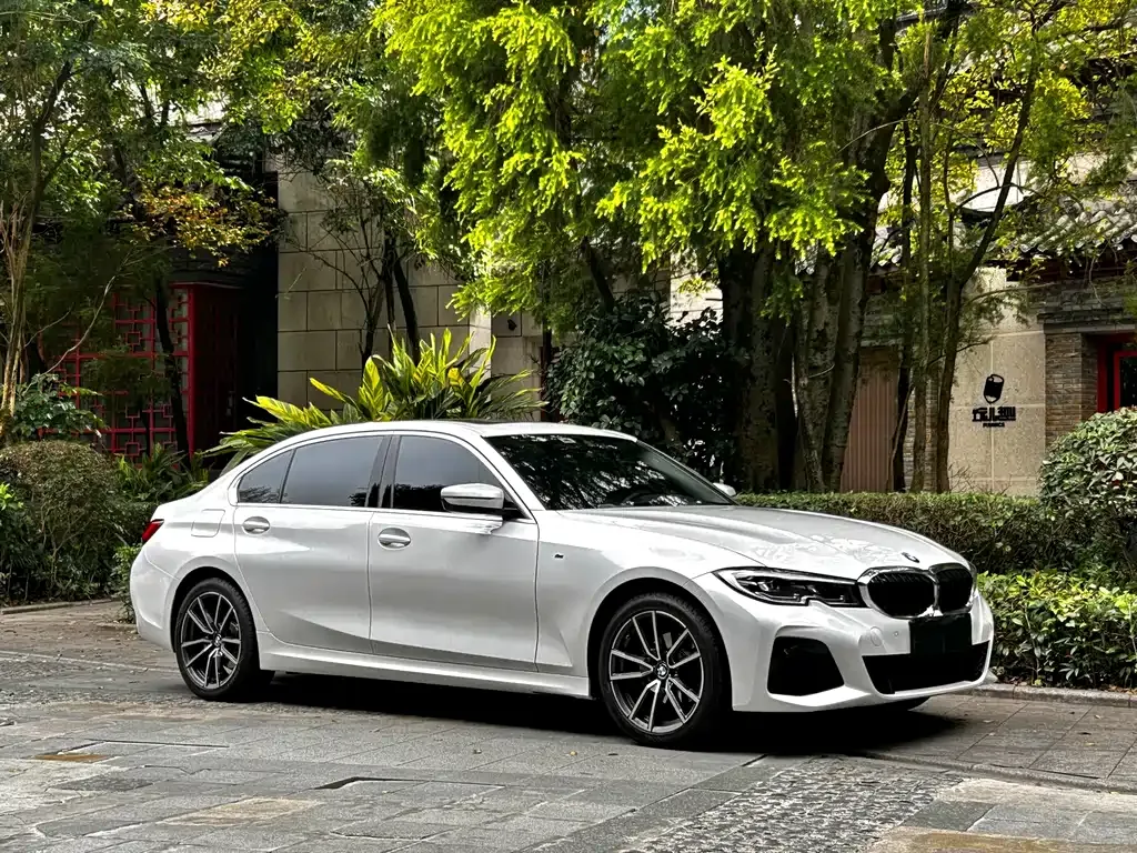 BMW 3 Series 2022 из CN, фото 3