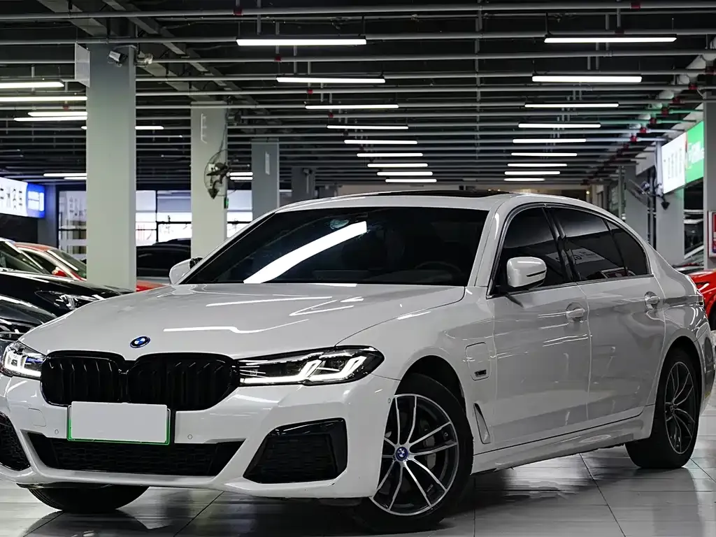 BMW 5 Series New Energy 2023 из CN, фото 1