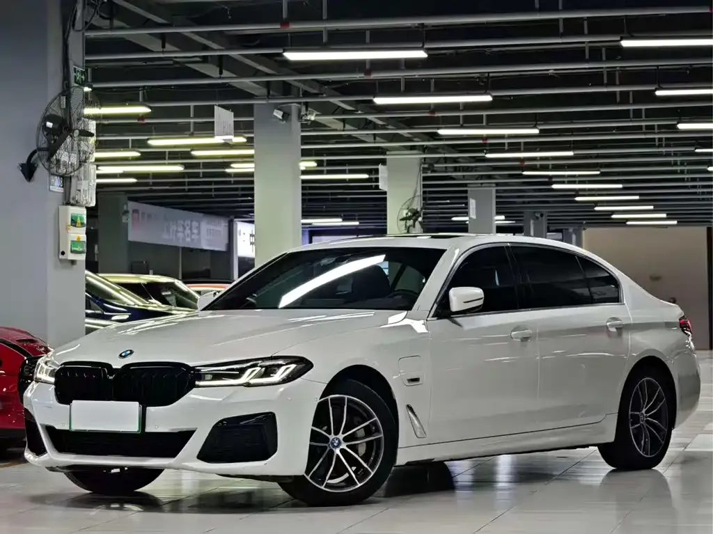 BMW 5 Series New Energy 2023 из CN, фото 2