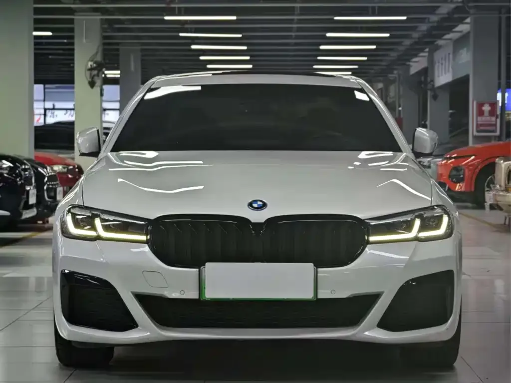 BMW 5 Series New Energy 2023 из CN, фото 3