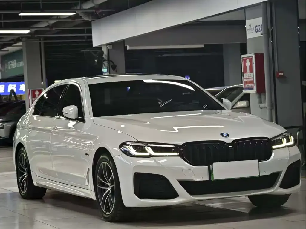 BMW 5 Series New Energy 2023 из CN, фото 4