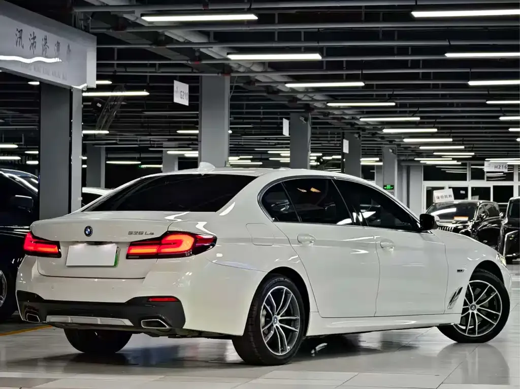 BMW 5 Series New Energy 2023 из CN, фото 5