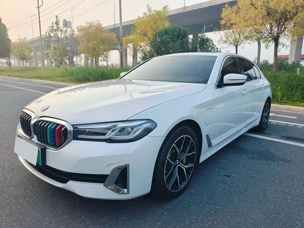 BMW 5 Series New Energy 2021 из CN, фото 1