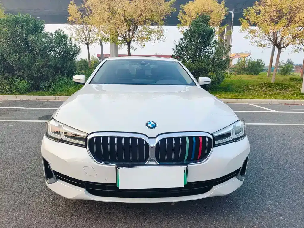 BMW 5 Series New Energy 2021 из CN, фото 2
