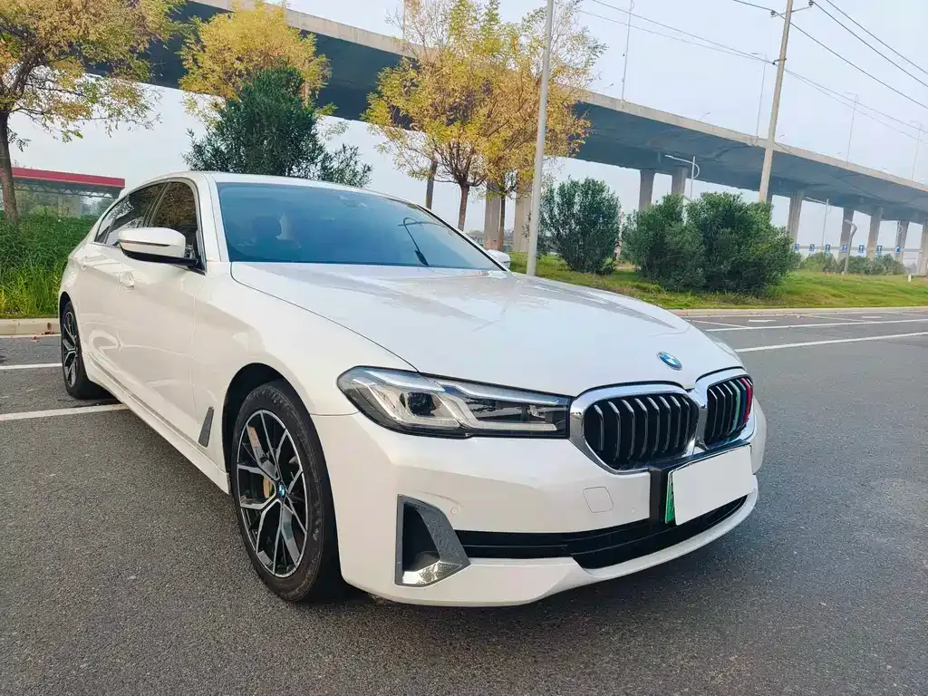 BMW 5 Series New Energy 2021 из CN, фото 3