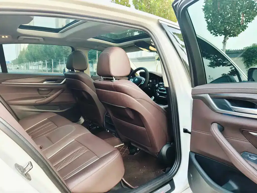 BMW 5 Series New Energy 2021 из CN, фото 4