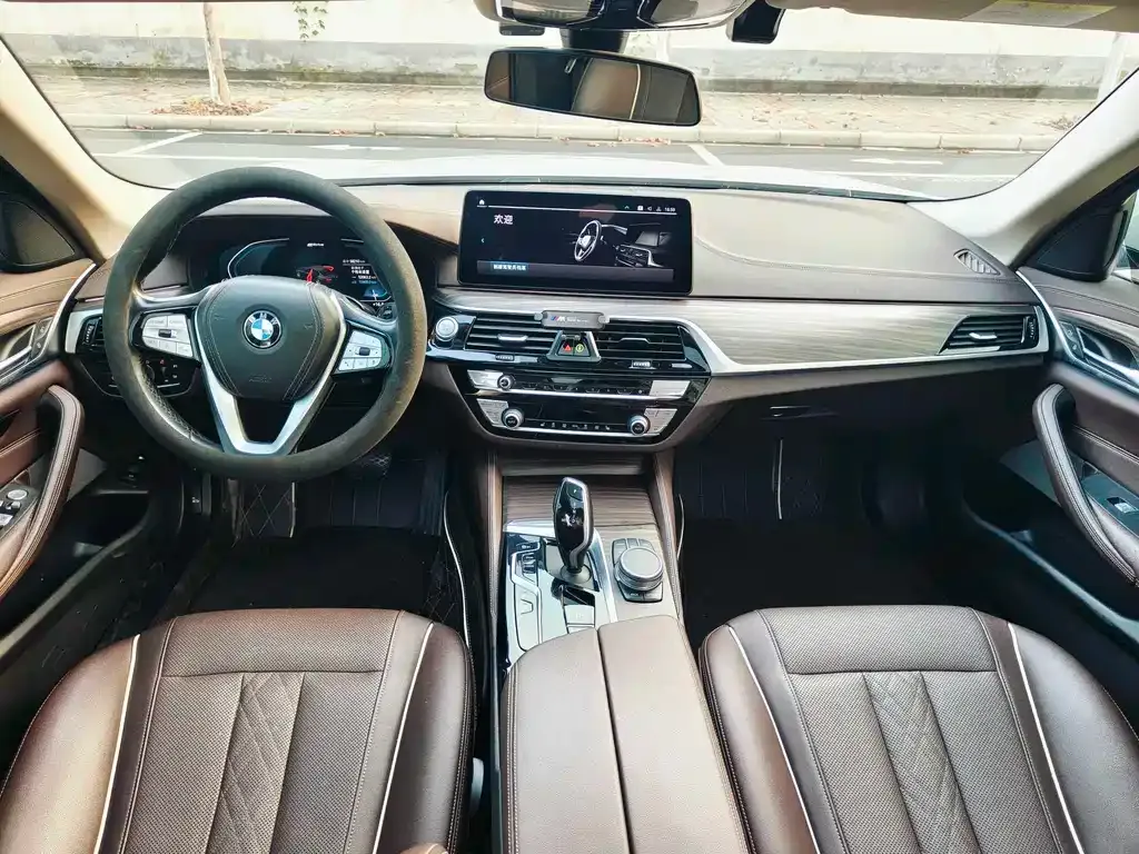 BMW 5 Series New Energy 2021 из CN, фото 6