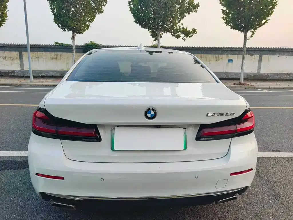 BMW 5 Series New Energy 2021 из CN, фото 8