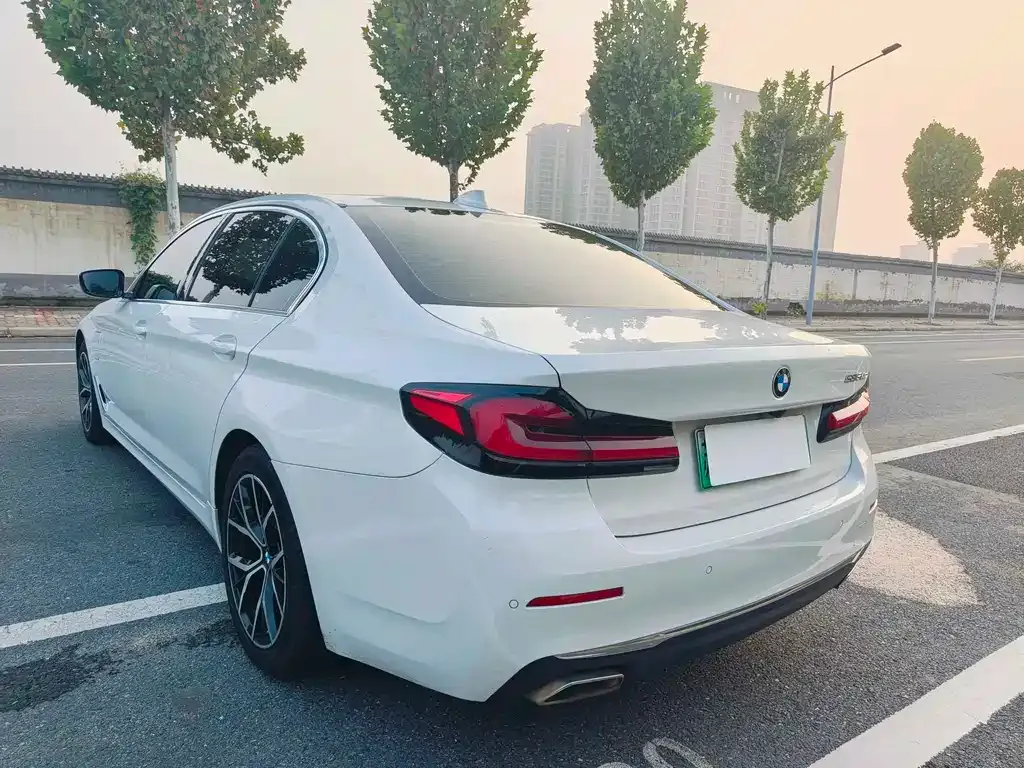 BMW 5 Series New Energy 2021 из CN, фото 9
