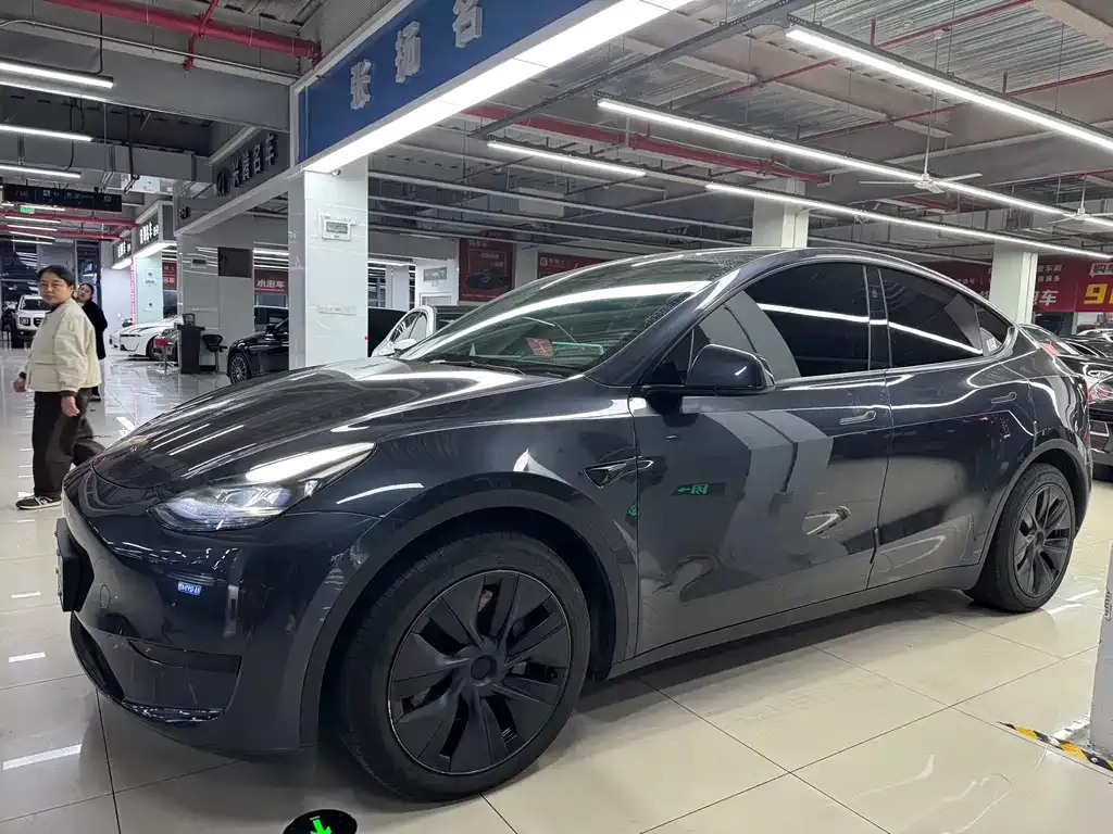 Tesla Model Y 2024 из CN, фото 2