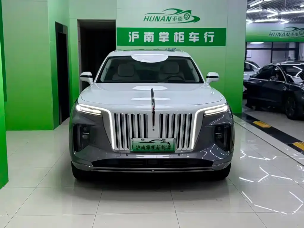 Hongqi E-HS9 — фото 2