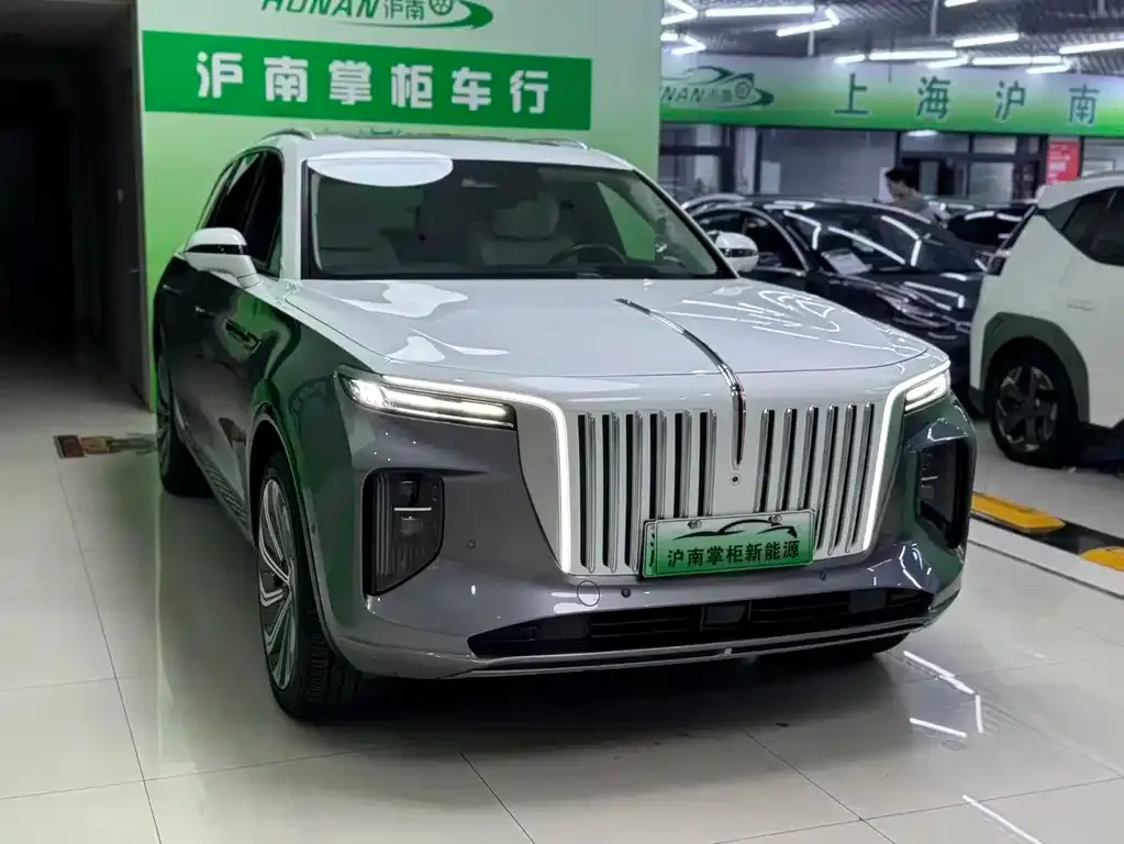 Hongqi E-HS9 — фото 8