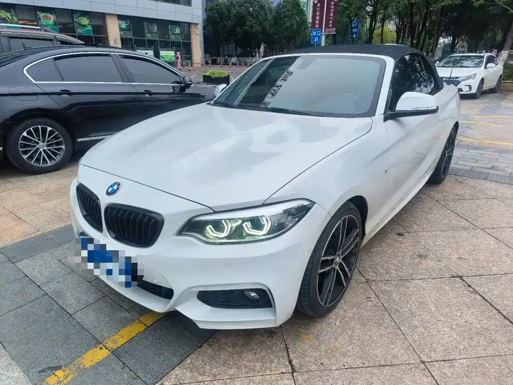 BMW 2 Series (Import) 2021 из CN, фото 1