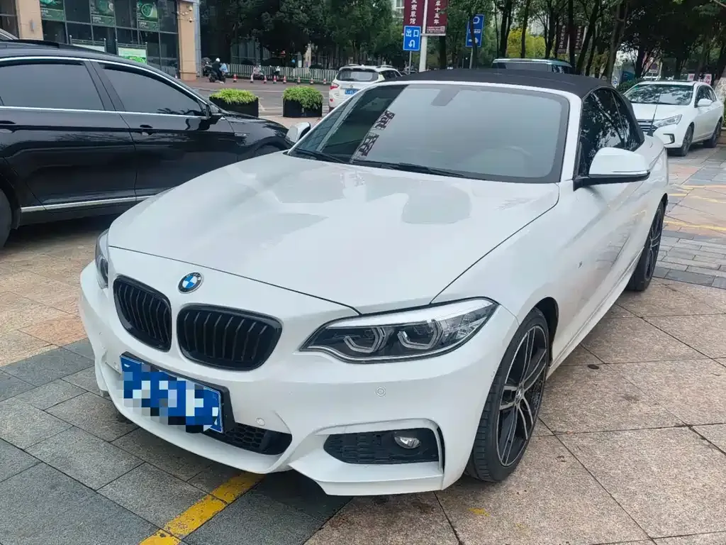 BMW 2 Series (Import) 2021 из CN, фото 4