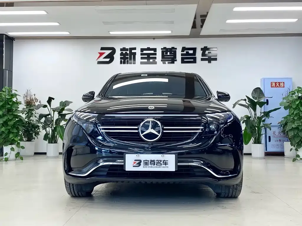 Mercedes-Benz EQC 2022 из CN, фото 3