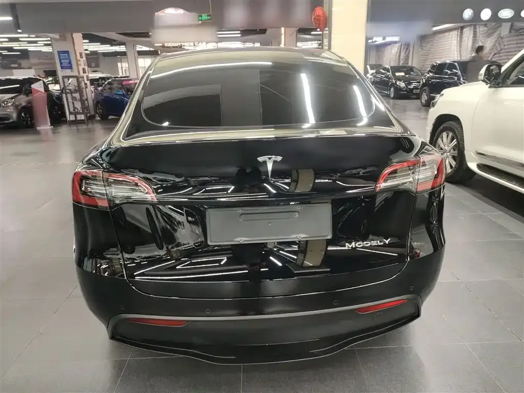 Tesla Model Y 2023 из CN, фото 6