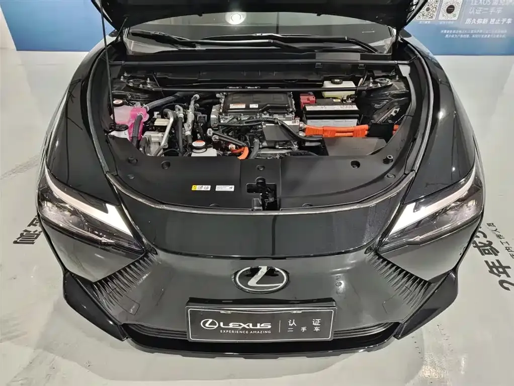 Lexus RZ — фото 3