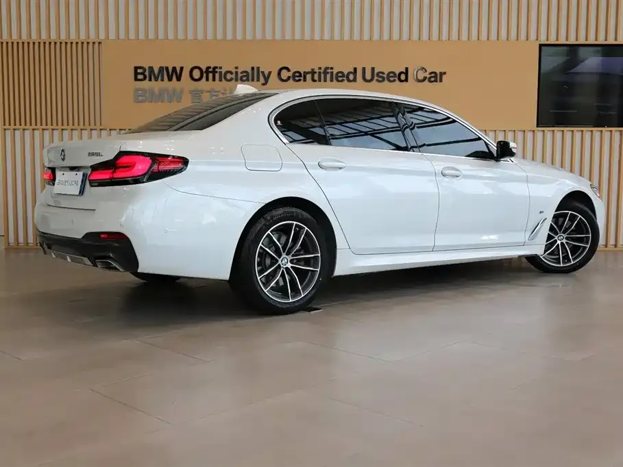 BMW 5 Series 2024 из CN, фото 3