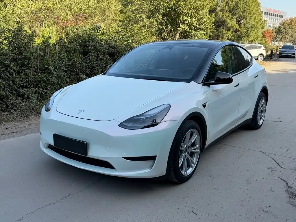 Tesla Model Y 2023 из CN, фото 1