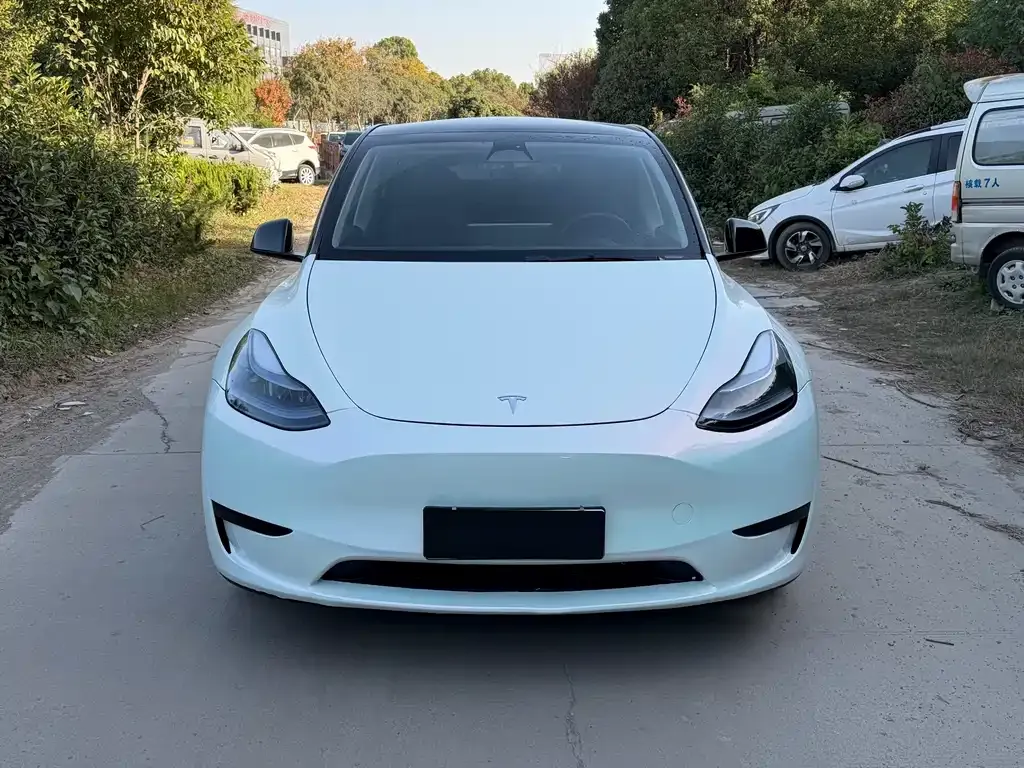 Tesla Model Y 2023 из CN, фото 2