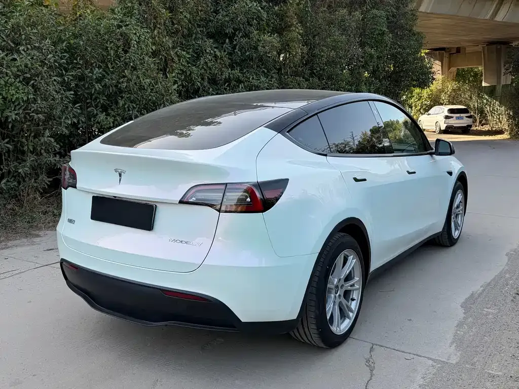 Tesla Model Y 2023 из CN, фото 5