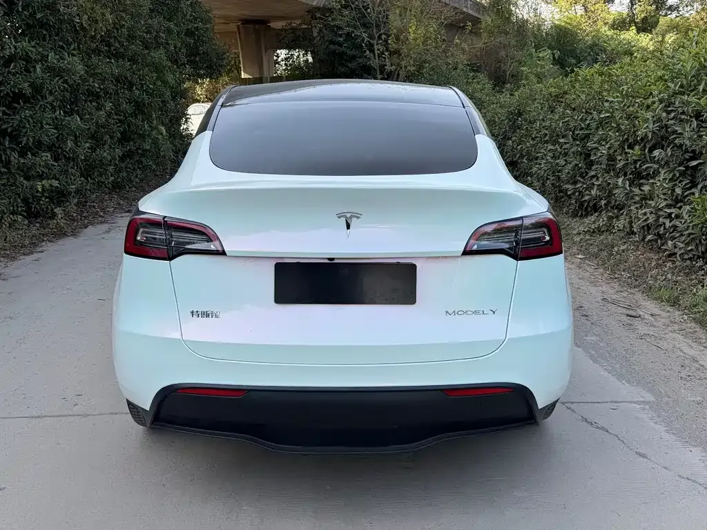 Tesla Model Y 2023 из CN, фото 6