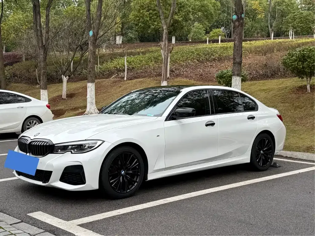 BMW 3 Series 2021 из CN, фото 1