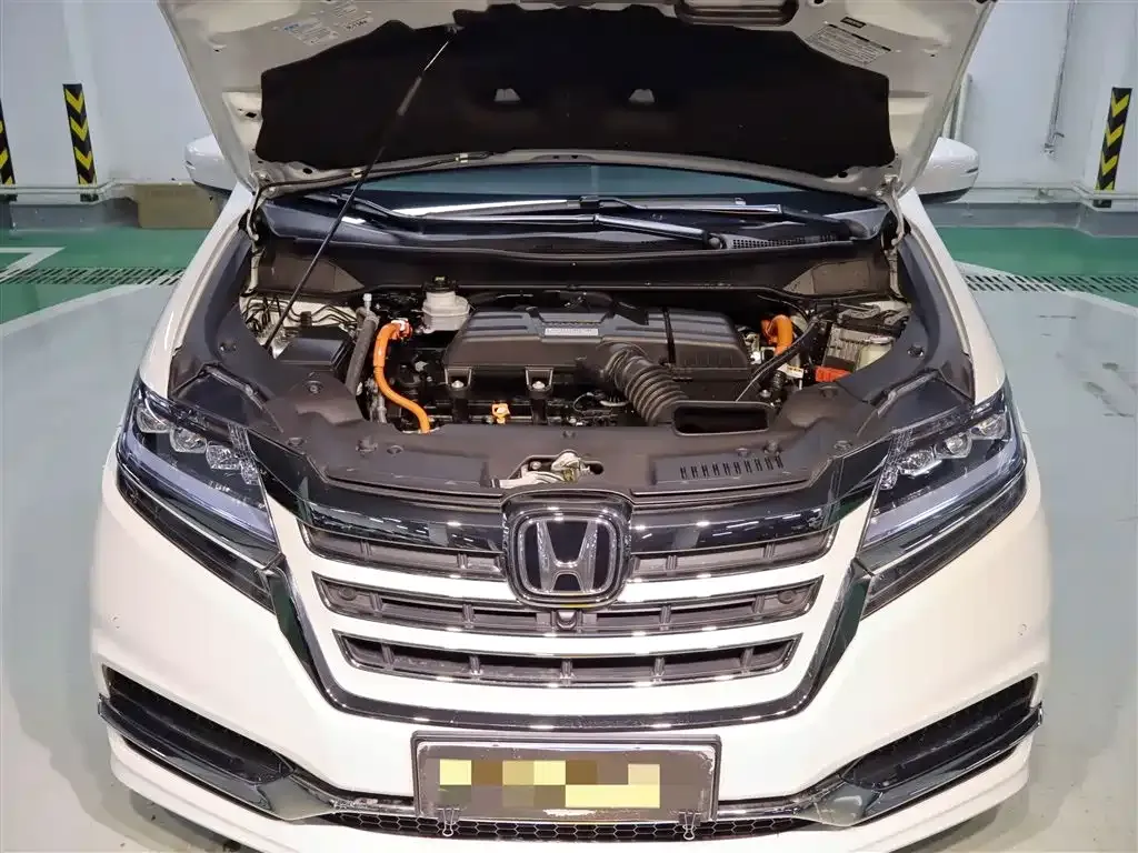 [object Object] Elysion 2021 из CN, фото 4