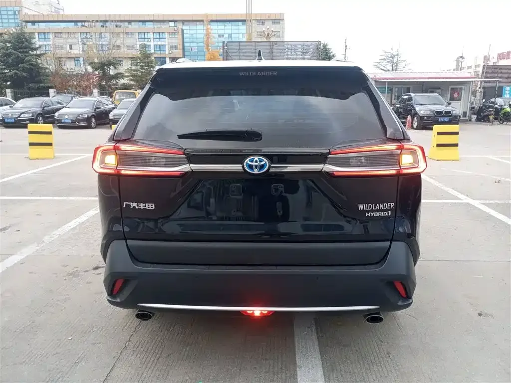 Toyota Wildlander 2021 из CN, фото 6