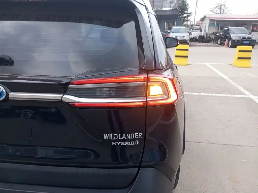 Toyota Wildlander 2021 из CN, фото 8
