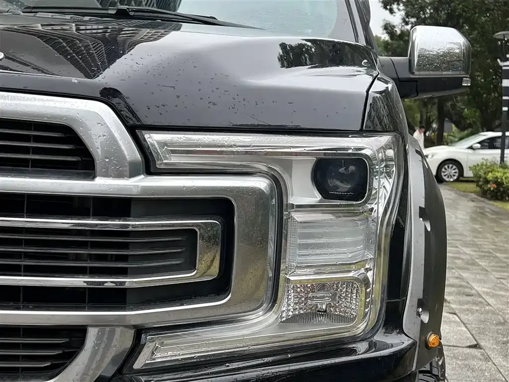 Ford F-150 Raptor 2021 из CN, фото 4