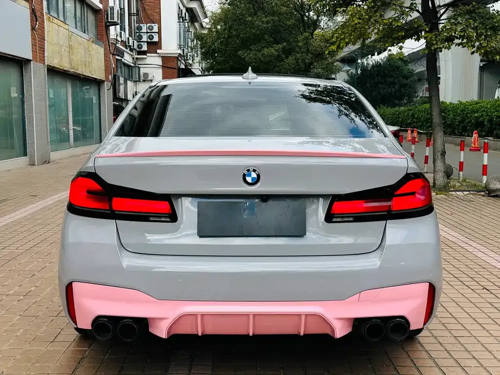 BMW 5 Series 2022 из CN, фото 8