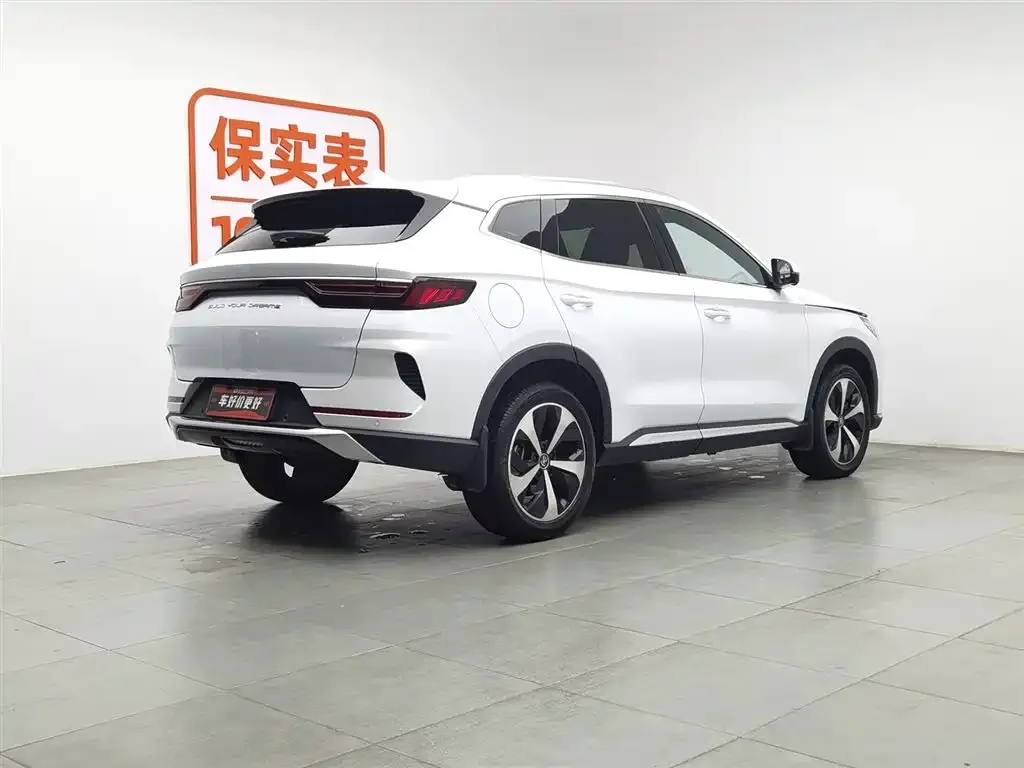 BYD PLUS New Energy 2022 из CN, фото 2