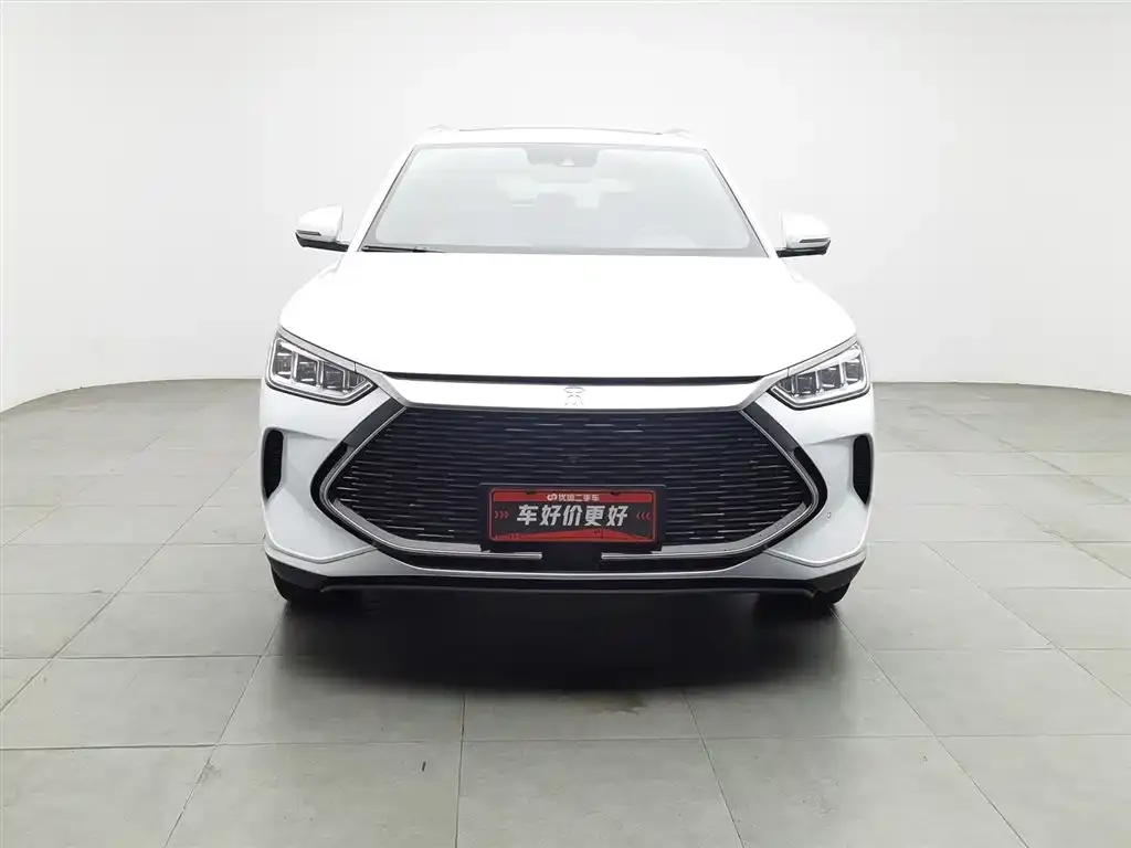 BYD PLUS New Energy 2022 из CN, фото 3