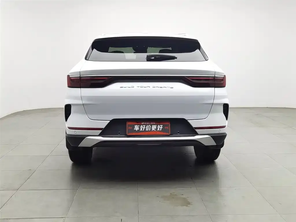 BYD PLUS New Energy 2022 из CN, фото 4