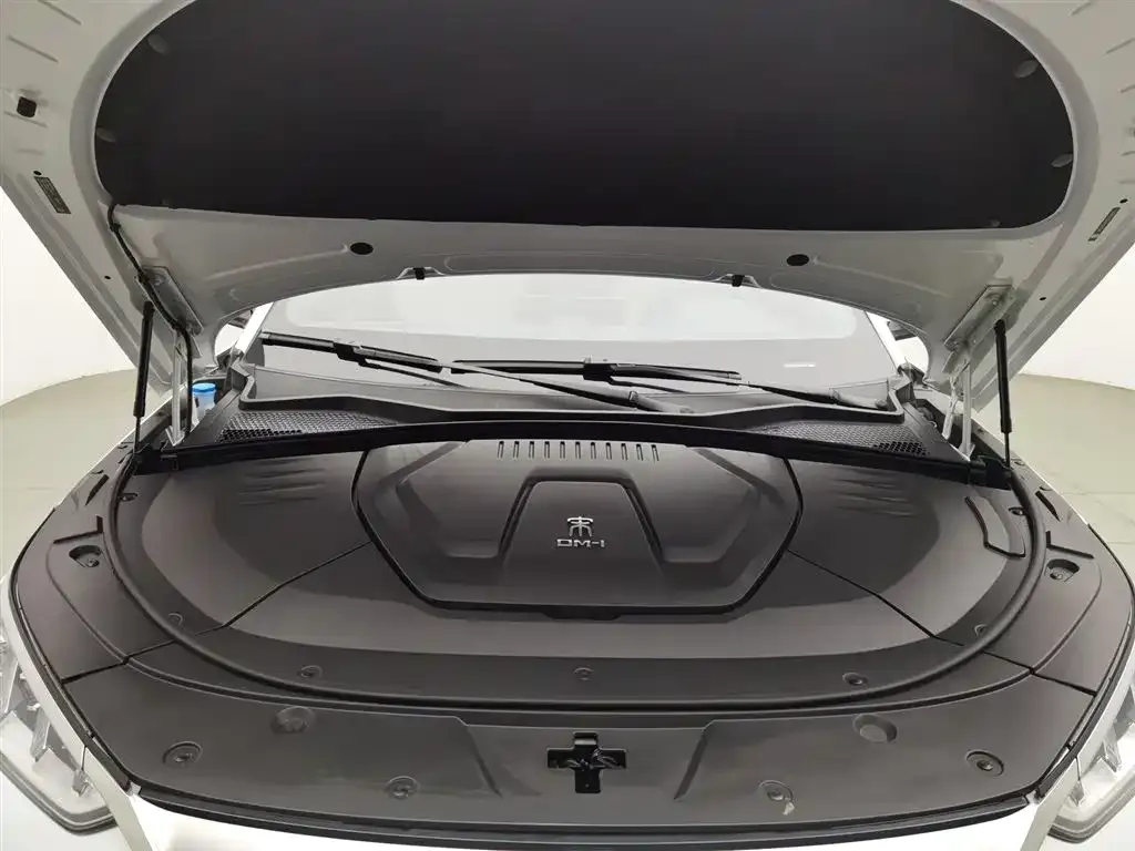 BYD PLUS New Energy 2022 из CN, фото 6