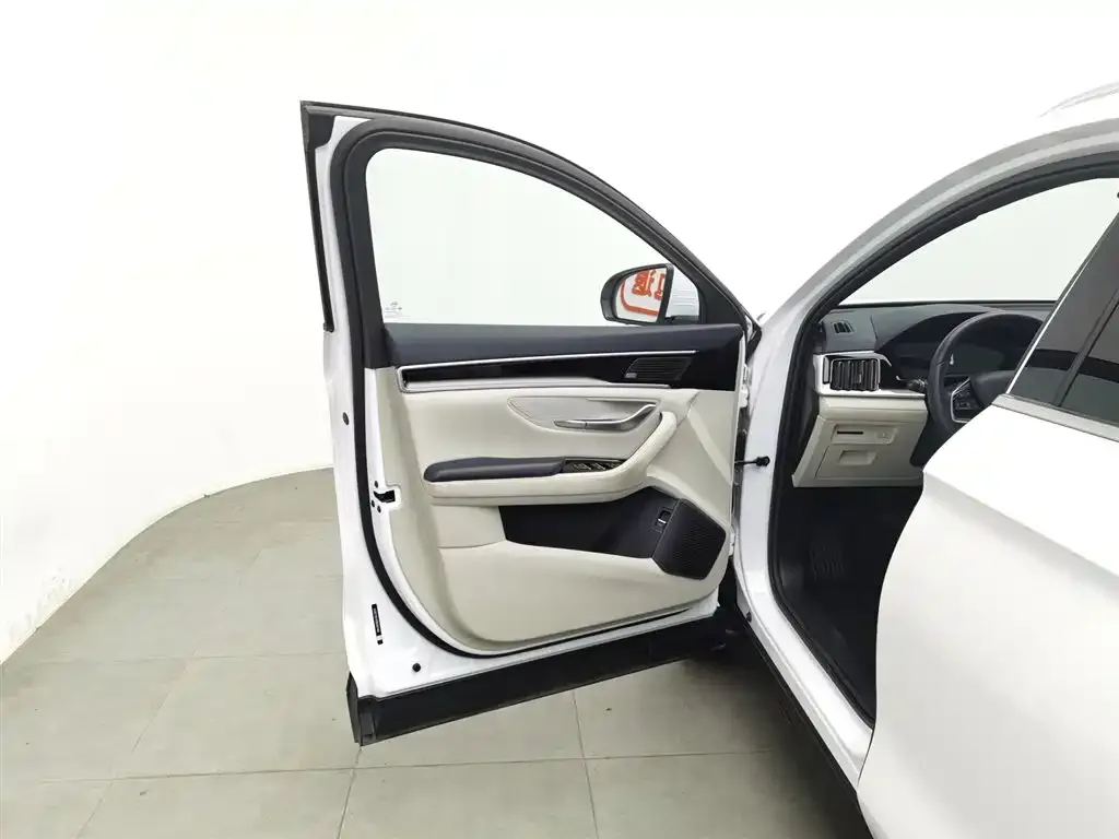 BYD PLUS New Energy 2022 из CN, фото 8