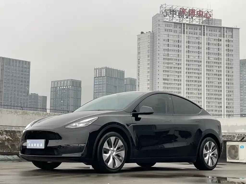 Tesla Model Y 2021 из CN, фото 1