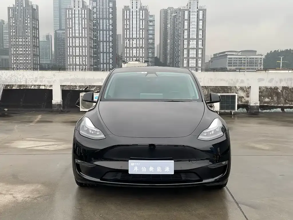 Tesla Model Y 2021 из CN, фото 2