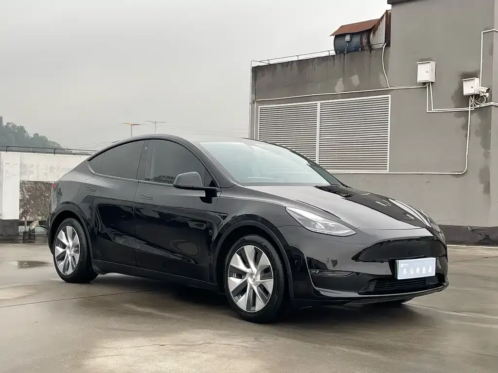 Tesla Model Y 2021 из CN, фото 3