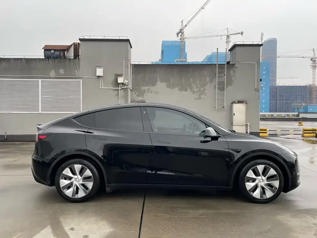 Tesla Model Y 2021 из CN, фото 4