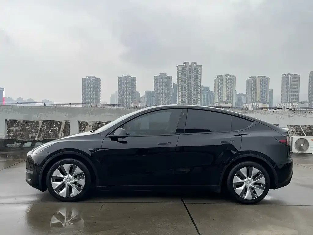 Tesla Model Y 2021 из CN, фото 5