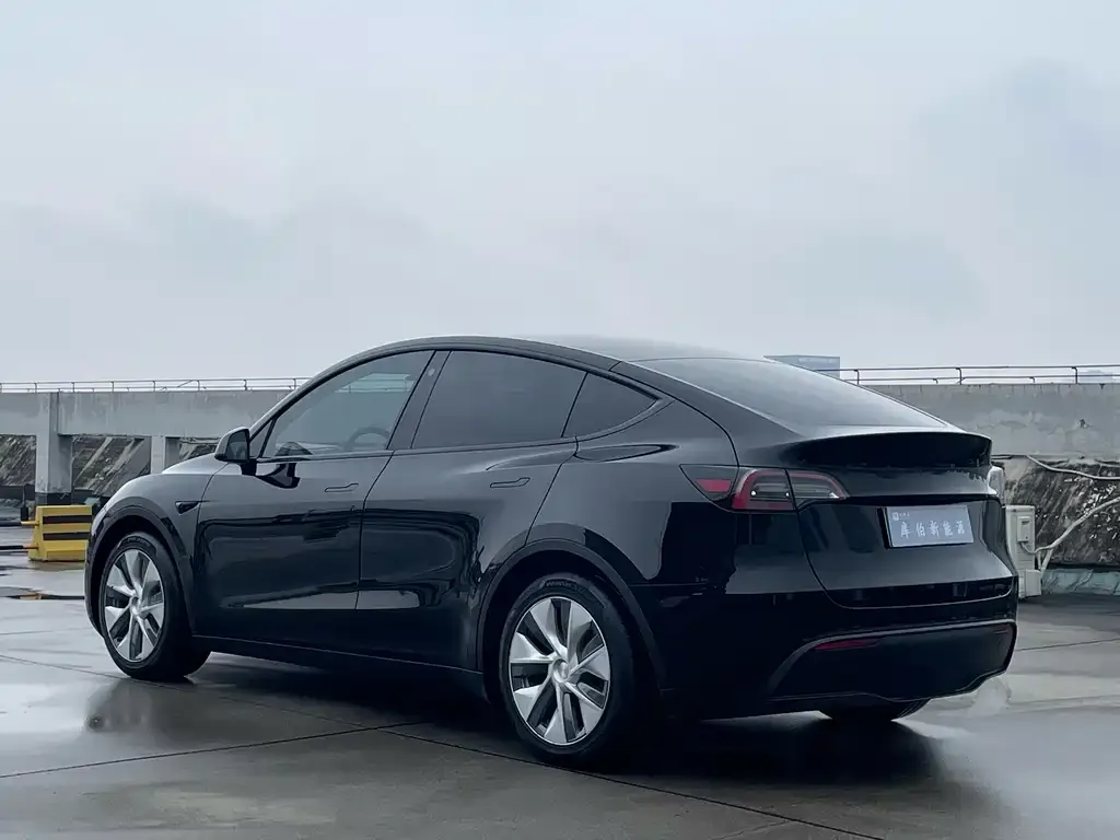 Tesla Model Y 2021 из CN, фото 6
