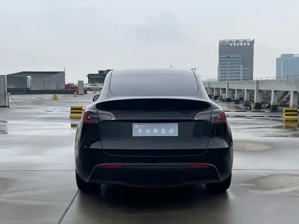 Tesla Model Y 2021 из CN, фото 7