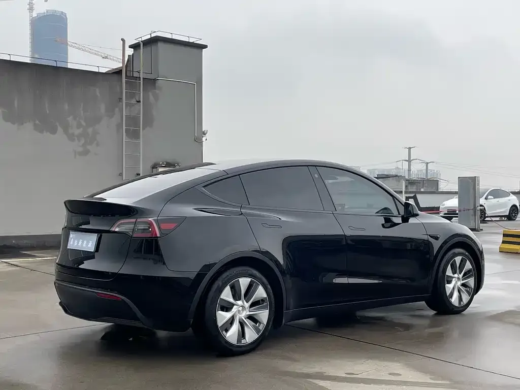 Tesla Model Y 2021 из CN, фото 8
