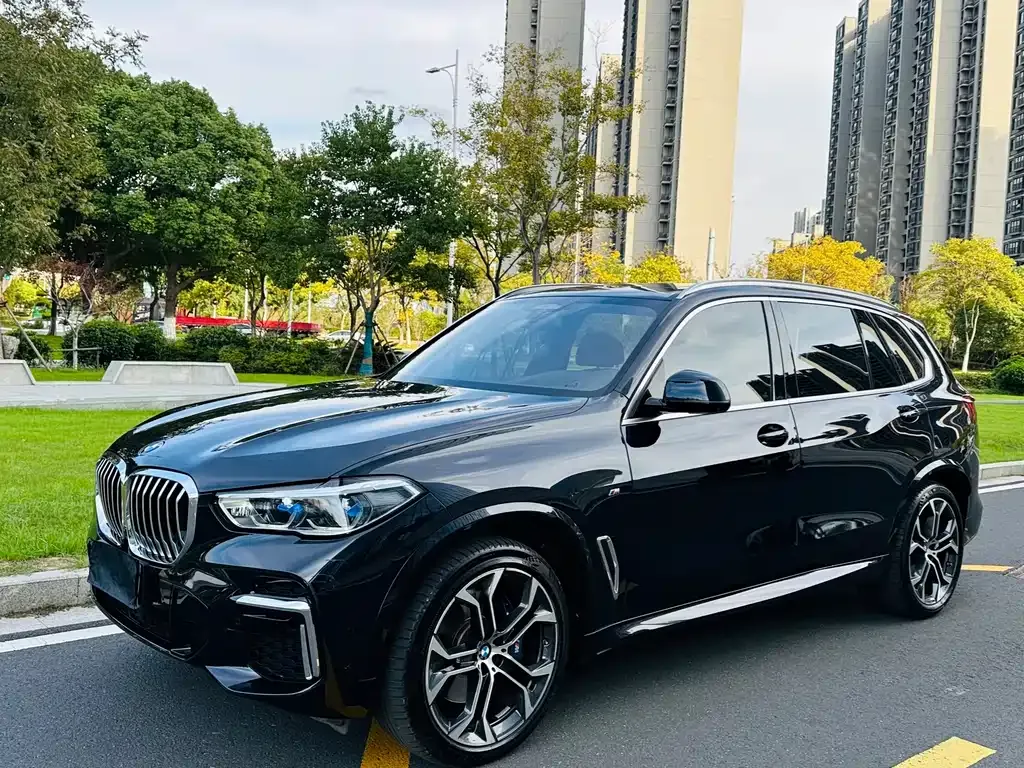 BMW X5 2022 из CN, фото 1
