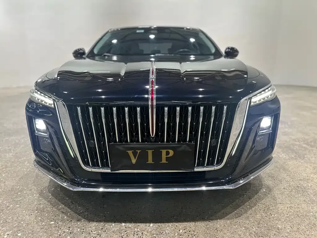 Hongqi H5 2023 из CN, фото 2