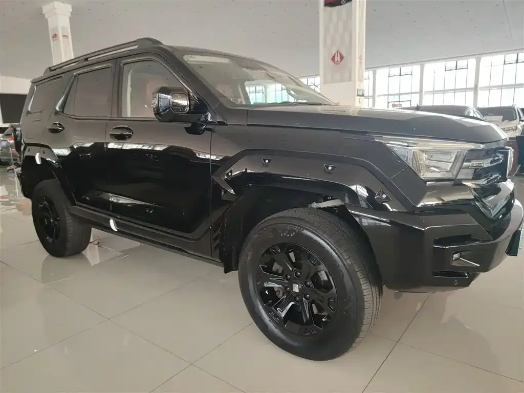 Tank 400 New Energy 2023 из CN, фото 10