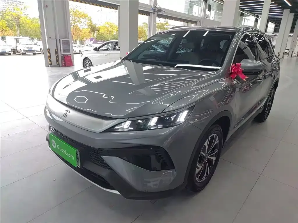 BYD Pro New Energy 2024 из CN, фото 1